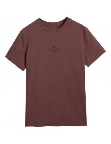 Men's Tshirt 4F M2961 dark brown...