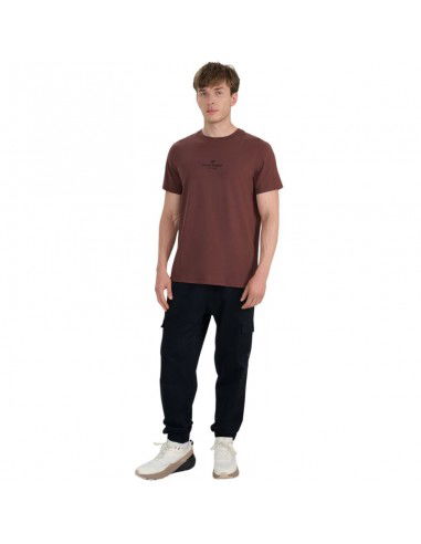 Men's Tshirt 4F M2961 dark brown...