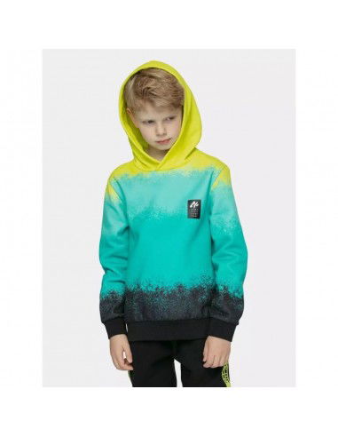 Boy's cotton hoodie 4F...