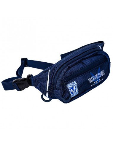 Small Kidney Bag 1922 Wings BS Navy Blue