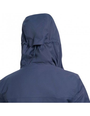 Ski jacket 4F W 4FWAW25TTJAF0954 31S