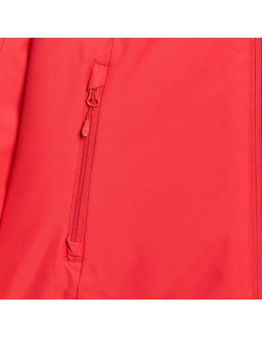 Ski jacket 4F W 4FWAW25TTJAF0954 62S