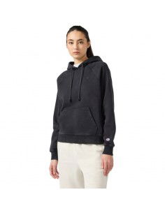 Champion Hooded Sweatshirt...
