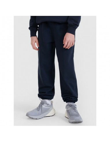 Trousers 4F Jr 4FJWMM00TTROM118831S