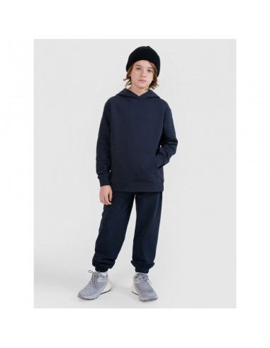 Trousers 4F Jr 4FJWMM00TTROM118831S