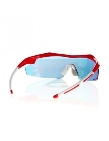 Goggle sunglasses E6903