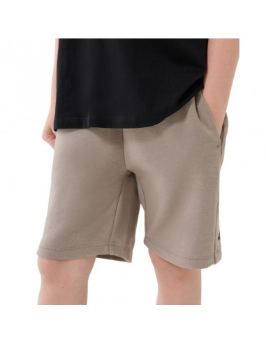 Shorts 4F CAS M600 W 4FJWSS25TSHOM600...