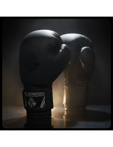 10oz Boxing Gloves Black Master Valor Series