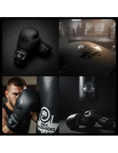 10oz Boxing Gloves Black Master Valor Series