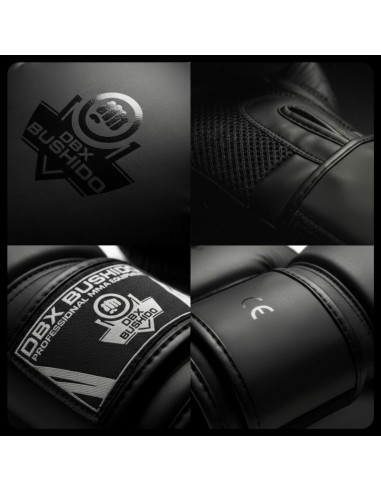 10oz Boxing Gloves Black Master Valor Series