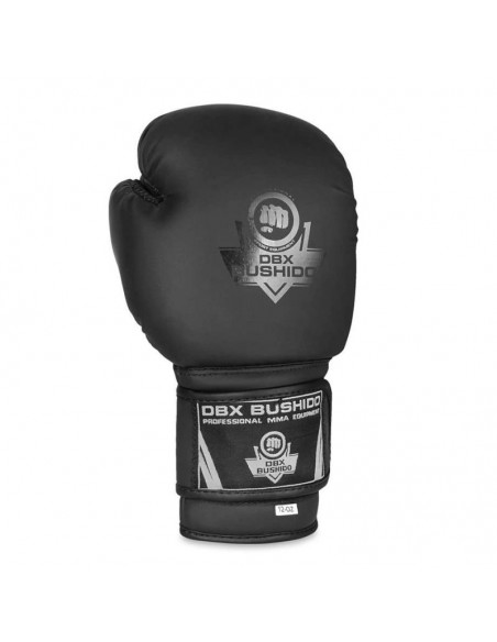 10oz Boxing Gloves Black Master Valor Series