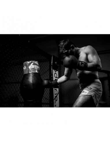 10oz Boxing Gloves Black Master Valor Series