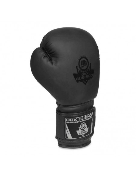 10oz Boxing Gloves Black Master Valor Series
