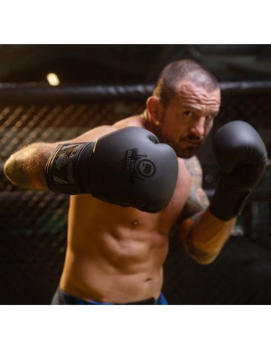 10oz Boxing Gloves Black Master Valor Series