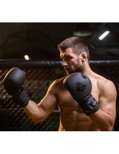 10oz Boxing Gloves Black Master Valor Series