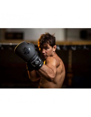 10oz Boxing Gloves Black Master Valor Series