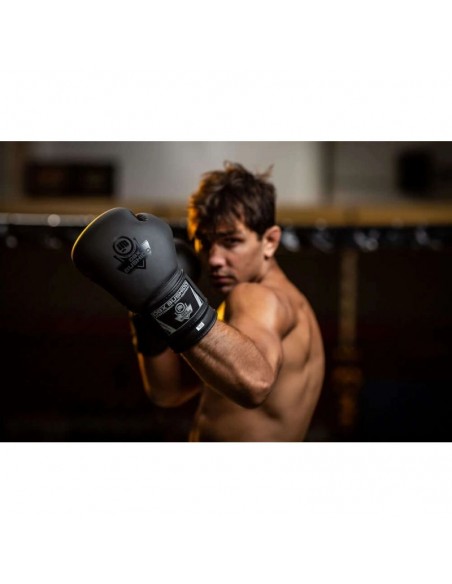 10oz Boxing Gloves Black Master Valor Series