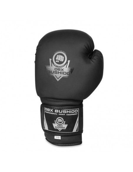 10oz Boxing Gloves Black Master Valor Series