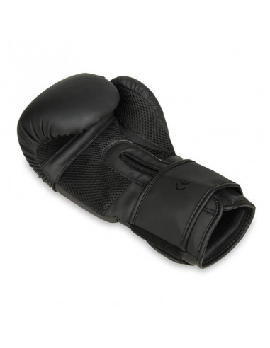 10oz Boxing Gloves Black Master Valor Series