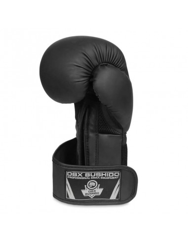 10oz Boxing Gloves Black Master Valor Series