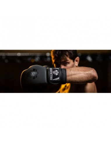 10oz Boxing Gloves Black Master Valor Series