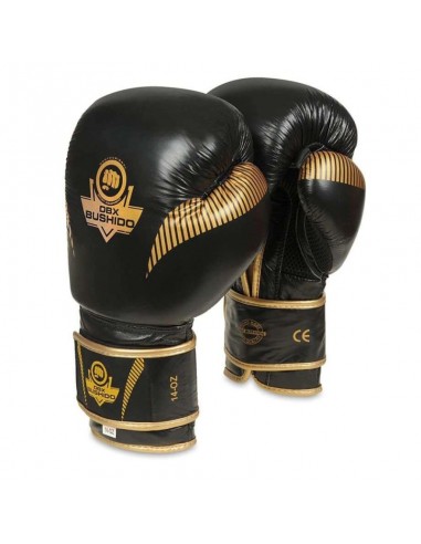 10oz Boxing Gloves Aureos Valor Series