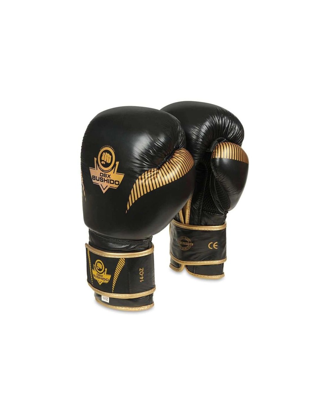 10oz Boxing Gloves Aureos Valor Series
