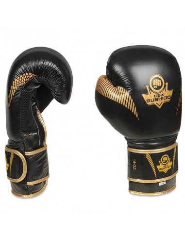 10oz Boxing Gloves Aureos Valor Series