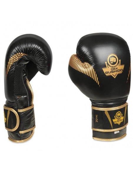 10oz Boxing Gloves Aureos Valor Series