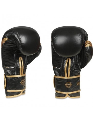 10oz Boxing Gloves Aureos Valor Series