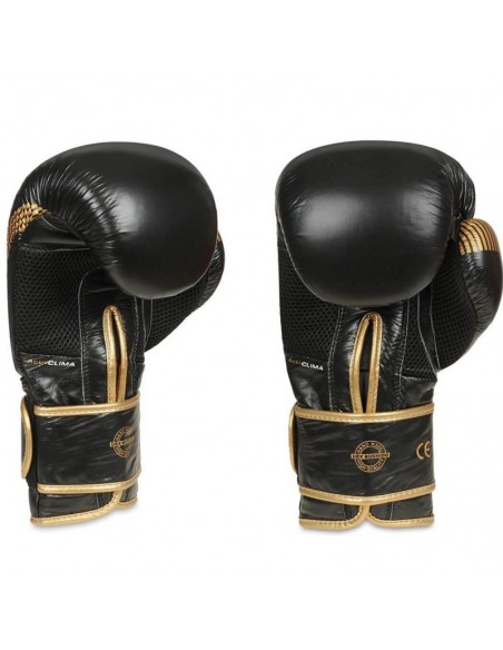 10oz Boxing Gloves Aureos Valor Series