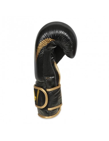 10oz Boxing Gloves Aureos Valor Series
