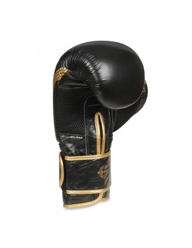 10oz Boxing Gloves Aureos Valor Series