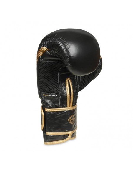 10oz Boxing Gloves Aureos Valor Series