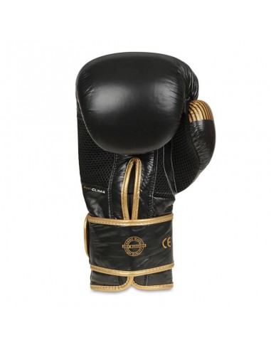 10oz Boxing Gloves Aureos Valor Series
