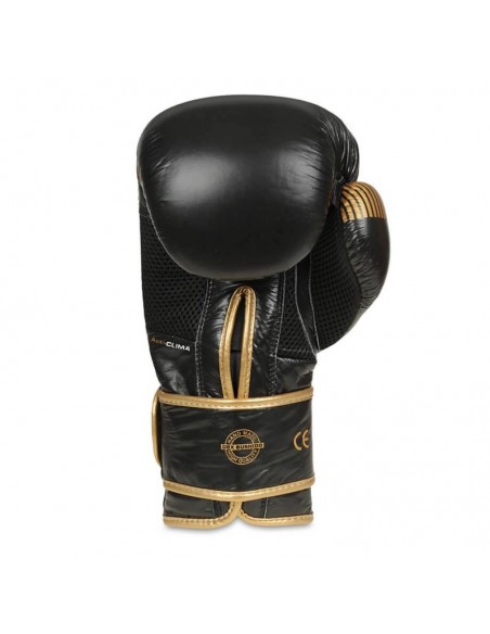 10oz Boxing Gloves Aureos Valor Series