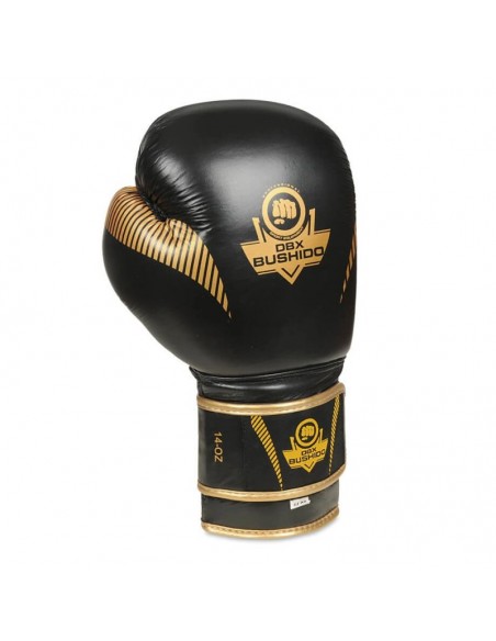 10oz Boxing Gloves Aureos Valor Series