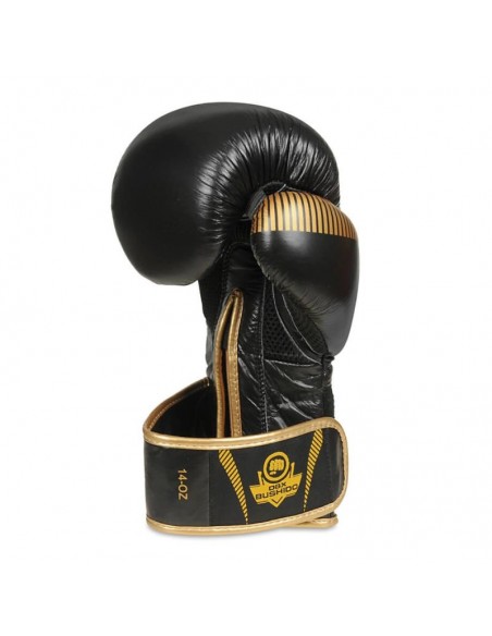 10oz Boxing Gloves Aureos Valor Series