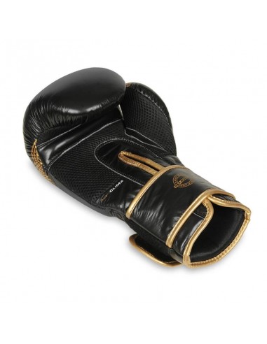 10oz Boxing Gloves Aureos Valor Series