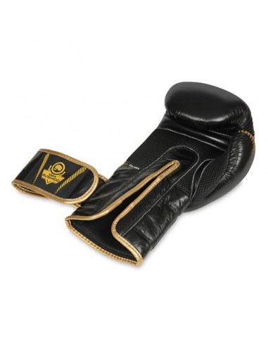 10oz Boxing Gloves Aureos Valor Series