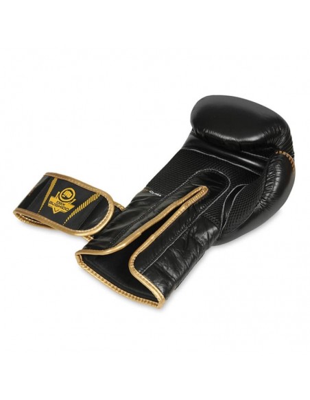 10oz Boxing Gloves Aureos Valor Series