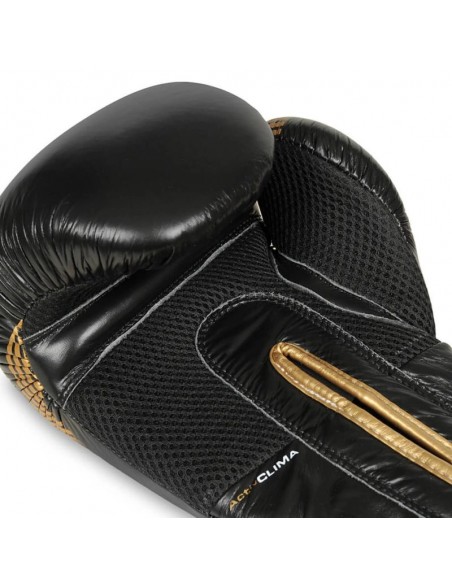 10oz Boxing Gloves Aureos Valor Series