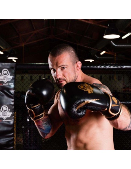 10oz Boxing Gloves Aureos Valor Series