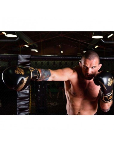 10oz Boxing Gloves Aureos Valor Series