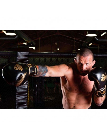 10oz Boxing Gloves Aureos Valor Series