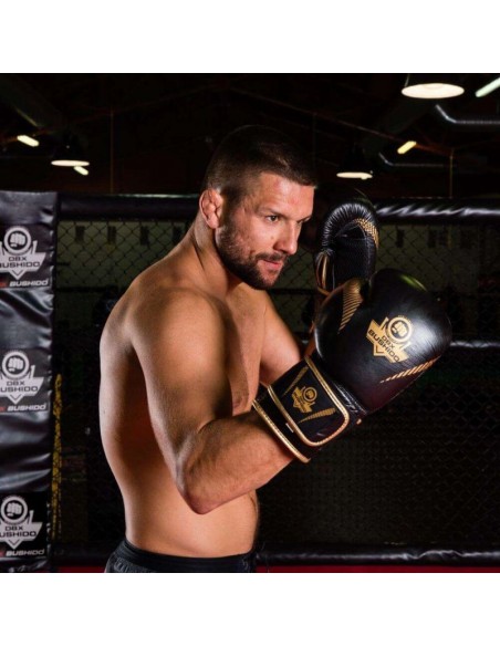 10oz Boxing Gloves Aureos Valor Series