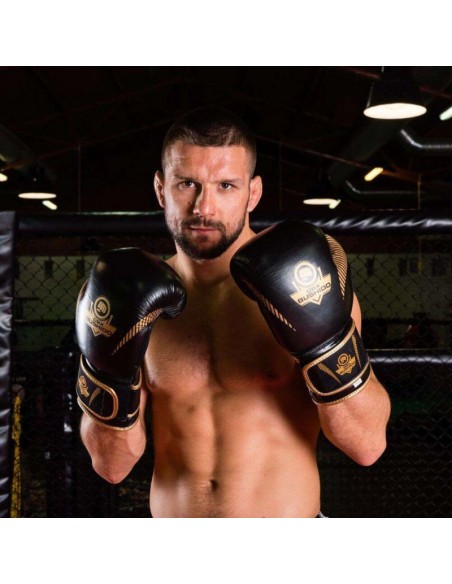 10oz Boxing Gloves Aureos Valor Series