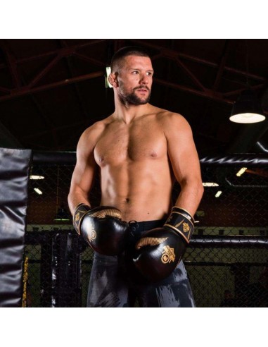 10oz Boxing Gloves Aureos Valor Series