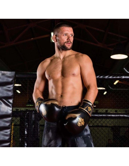 10oz Boxing Gloves Aureos Valor Series