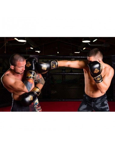 10oz Boxing Gloves Aureos Valor Series